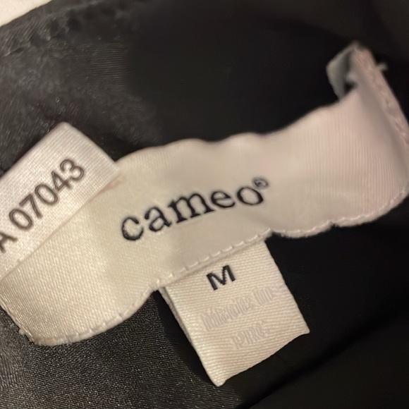 Cameo black and Tan with Mesh Detail Mini Dress Medium - Picture 3 of 8